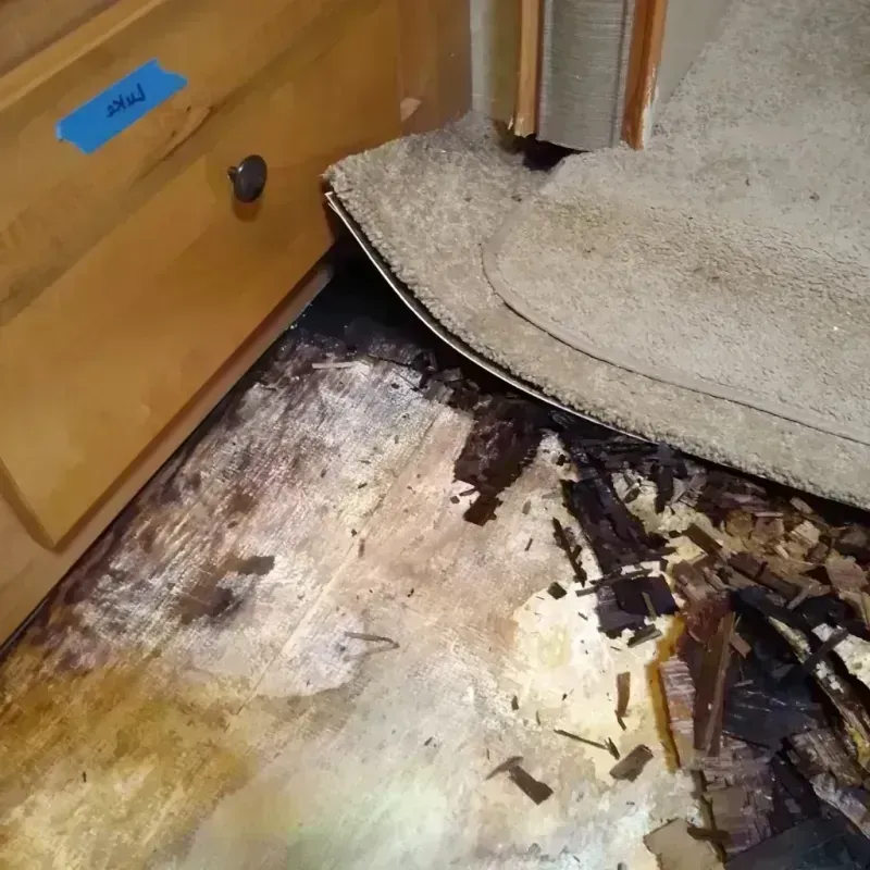 Wood Floor Water Damage in Hometown, PA